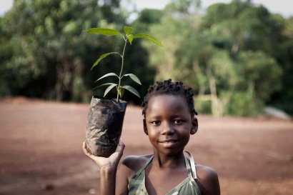 Greenpop have run many great projects, including Trees for Zambia